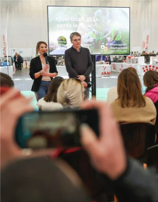 Workshops and conferences