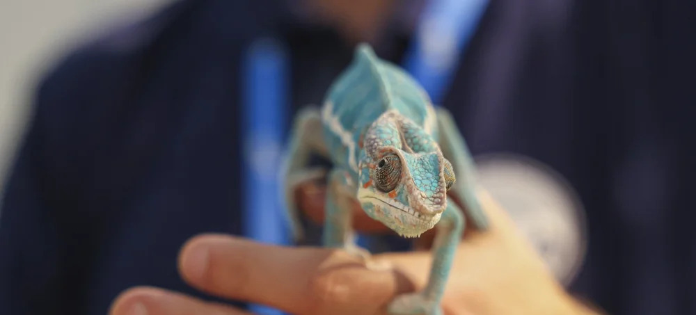 Cameleon-Paris-animal-show-2