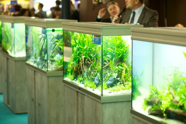 Aquariophilie